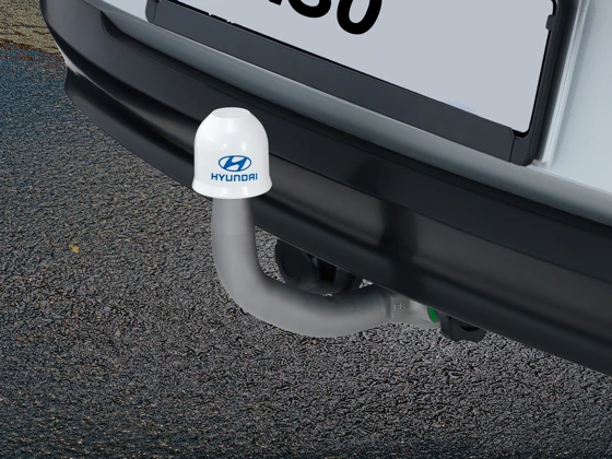 Anhängerkupplung, abnehmbar (8)