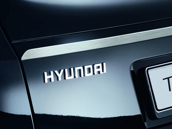 Heckklappenzierleiste Stahl gebürstet