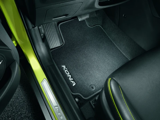 Velours-Matten-Satz (120)