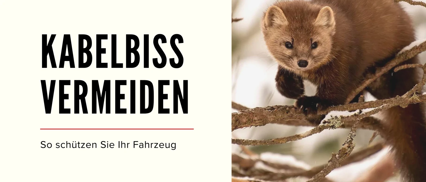 Frühling & Tierwelt Blog Banner Neu