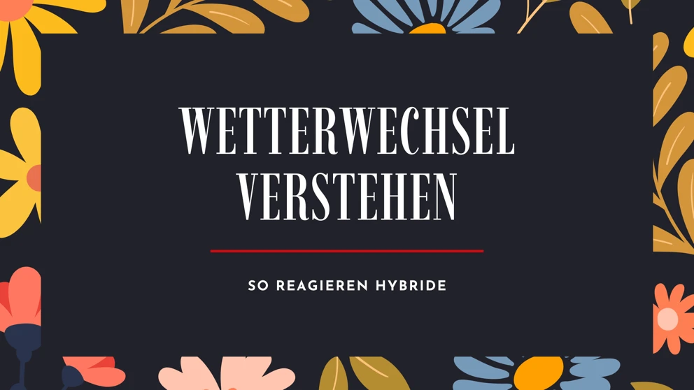 Hybridmodelle Frühling Blog Banner