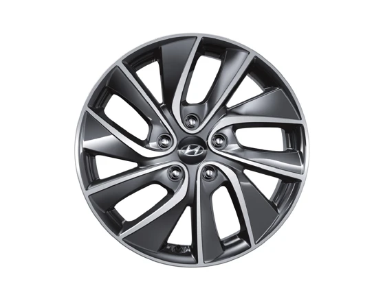 Leichtmetallfelge 17 Zoll (12)