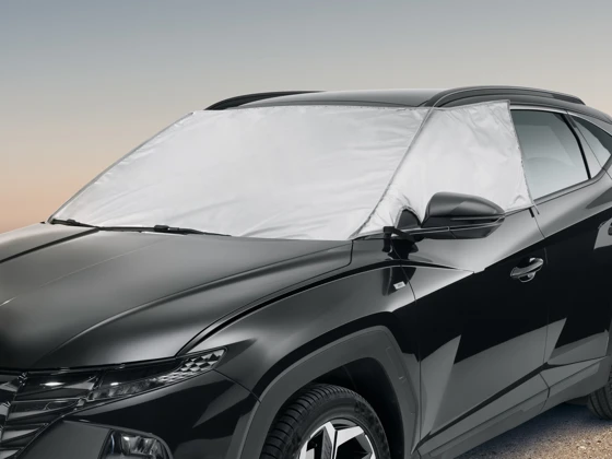 Eis- und Sonnenschutz (61)